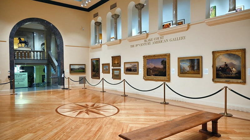 Michele & Donald D'Amour Museum of Fine Arts