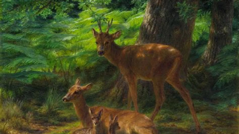 רוזה בונהור