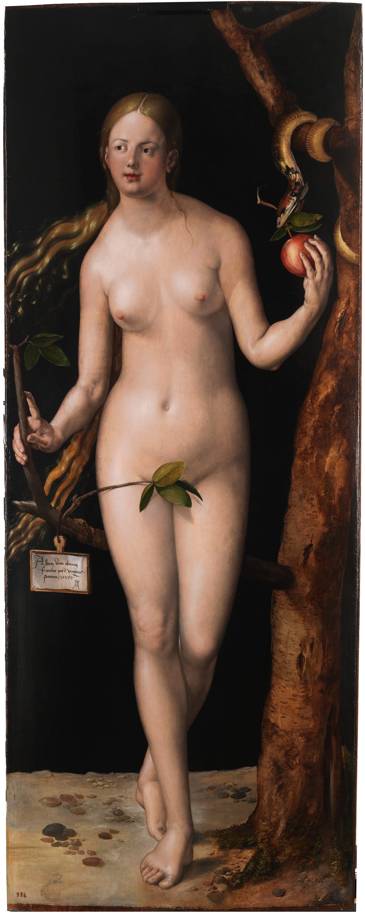 חווה - אלברכט דירר