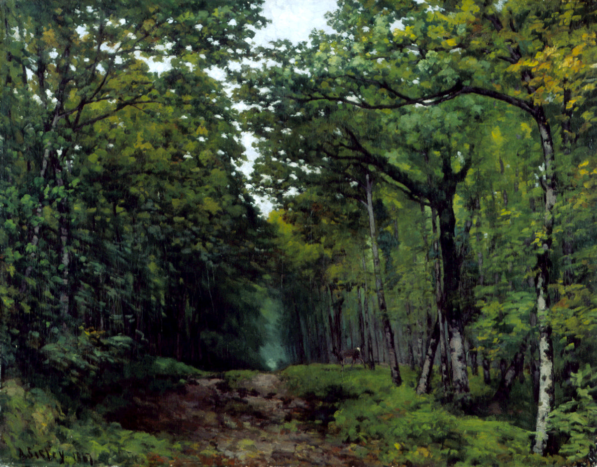 Reproduction du tableau « Allée de châtaigniers près de La Celle Saint-Cloud - Alfred Sisley » par Alpha Reproduction en peinture à l’huile