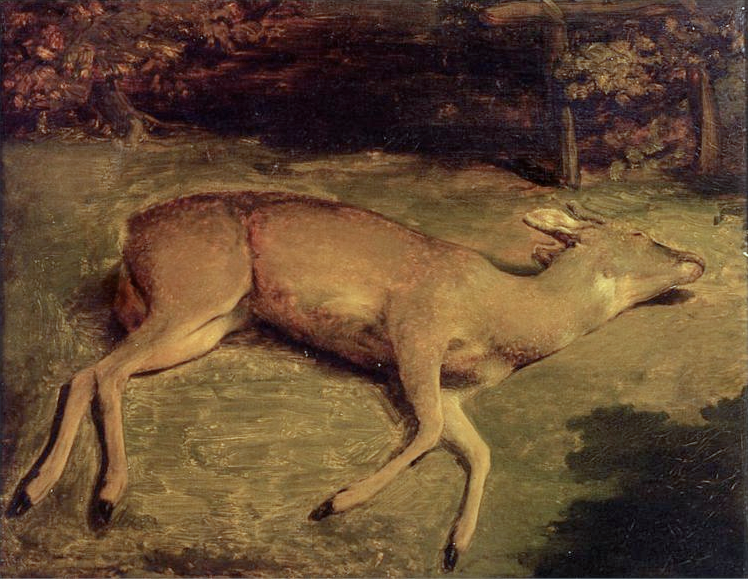 Biche morte - Gustave Courbet