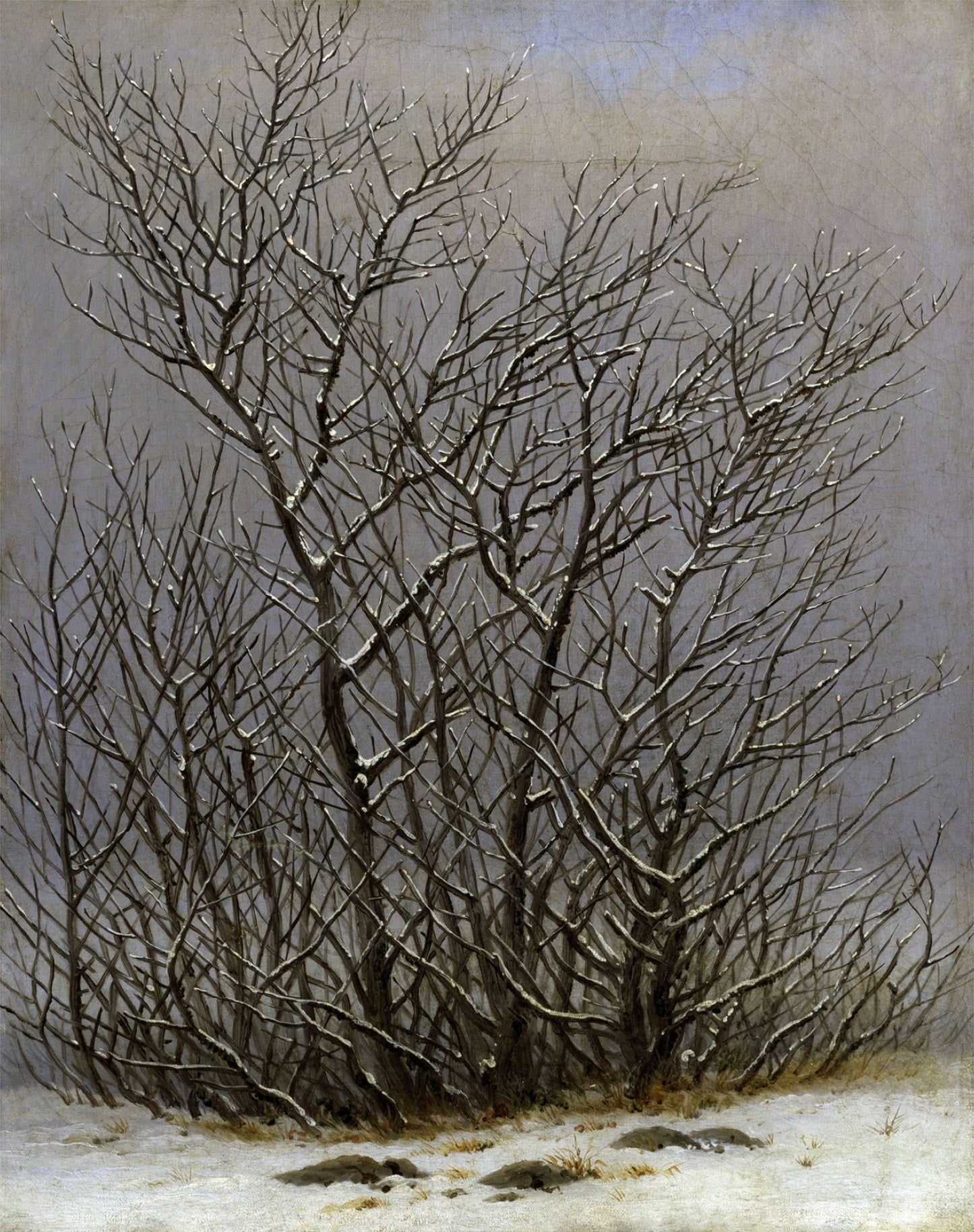 Reproduction du tableau « Arbres et arbustes sous la neige - Caspar David Friedrich » par Alpha Reproduction en peinture à l’huile