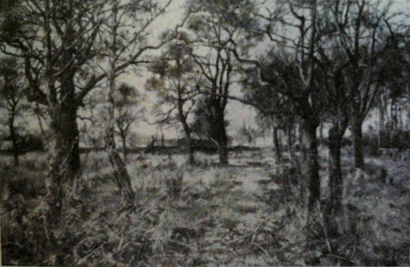 Un village à l'orée d'un bois. - Gustave Courbet