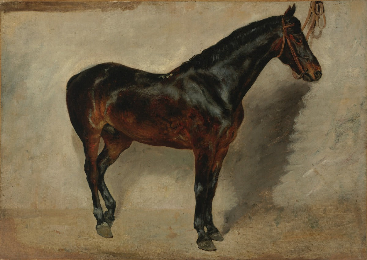 Reproduction du tableau « Cheval bai-brun à l'attache - Eugène Delacroix » par Alpha Reproduction en peinture à l’huile