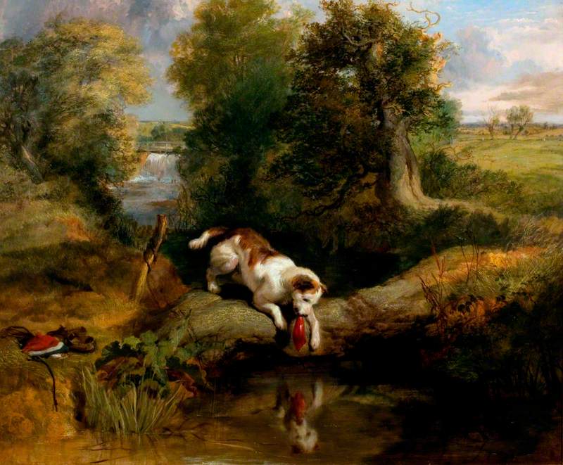 Le chien et l'ombre - Edwin Henry Landseer