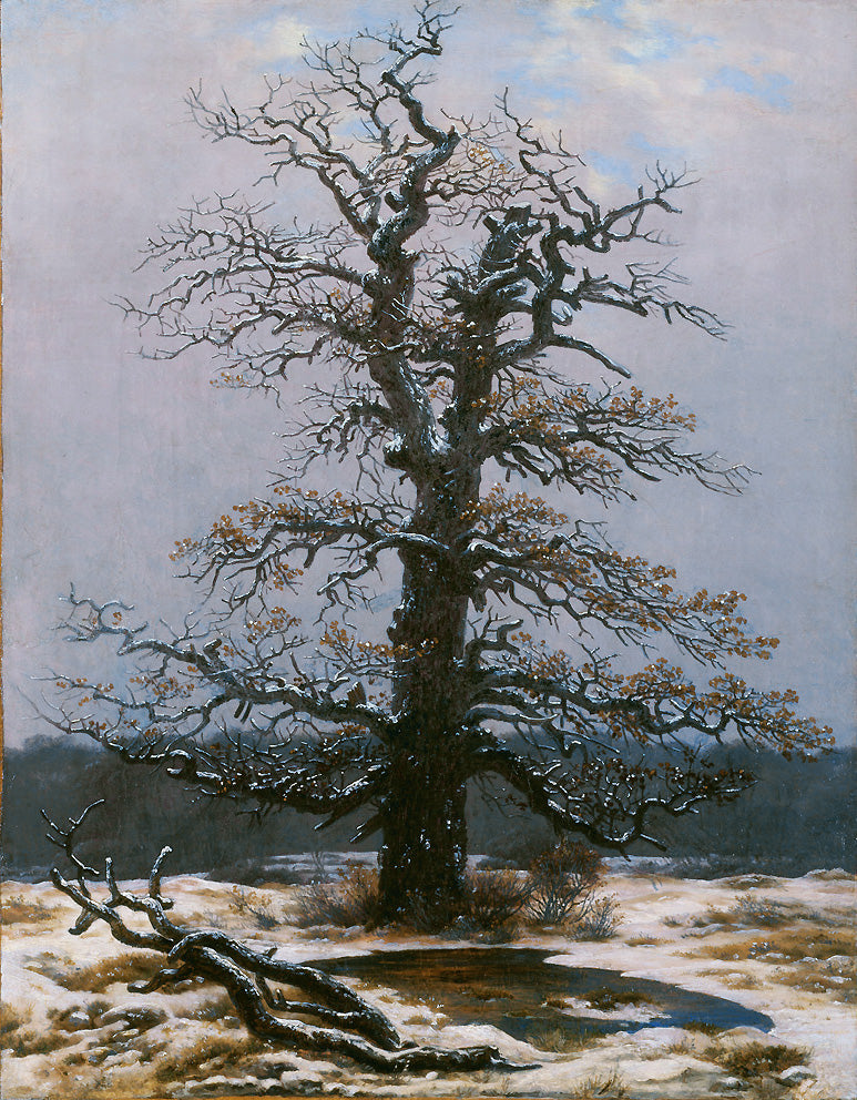 Reproduction du tableau « Chêne sous la neige - Caspar David Friedrich » par Alpha Reproduction en peinture à l’huile