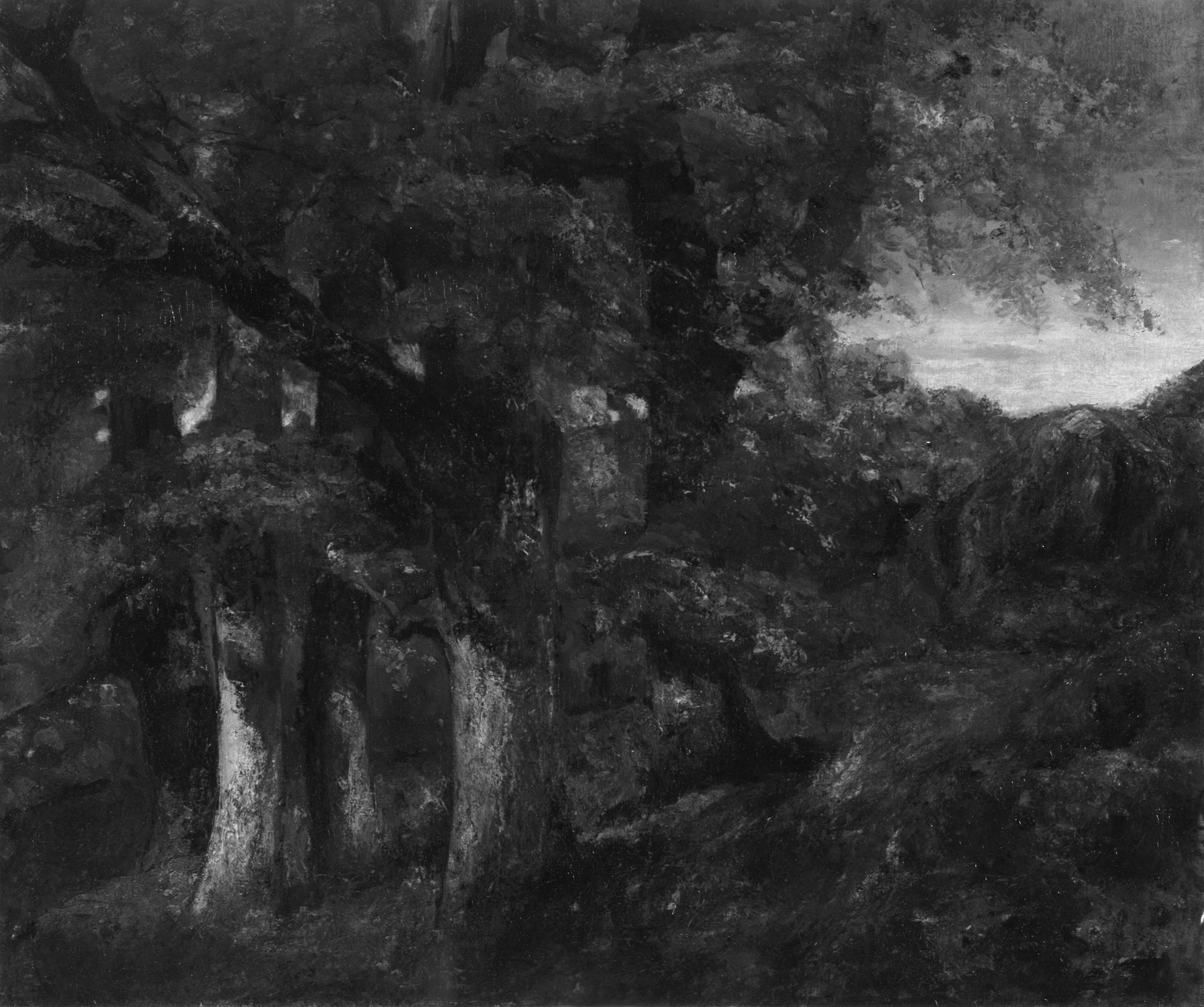 Paysage boisé - Gustave Courbet