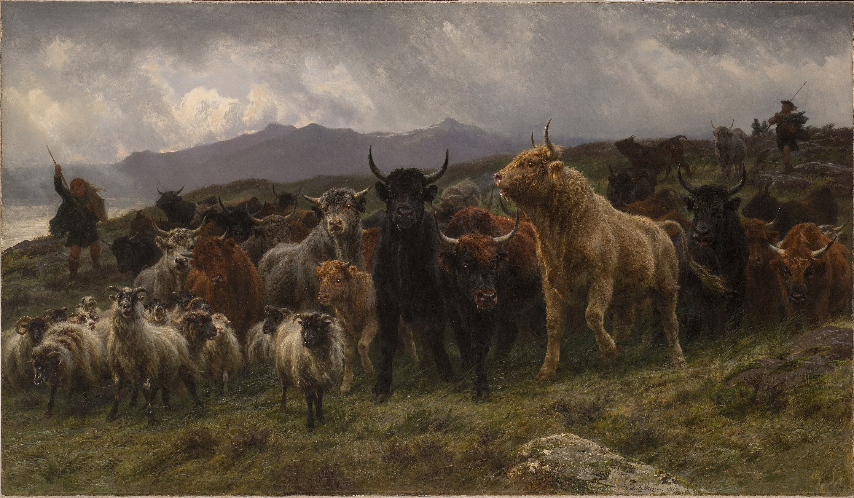 Raid des Highlands - Rosa Bonheur