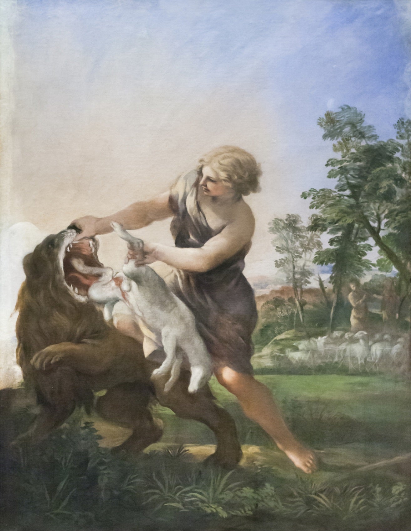 David tuant le lion - Pietro da Cortona