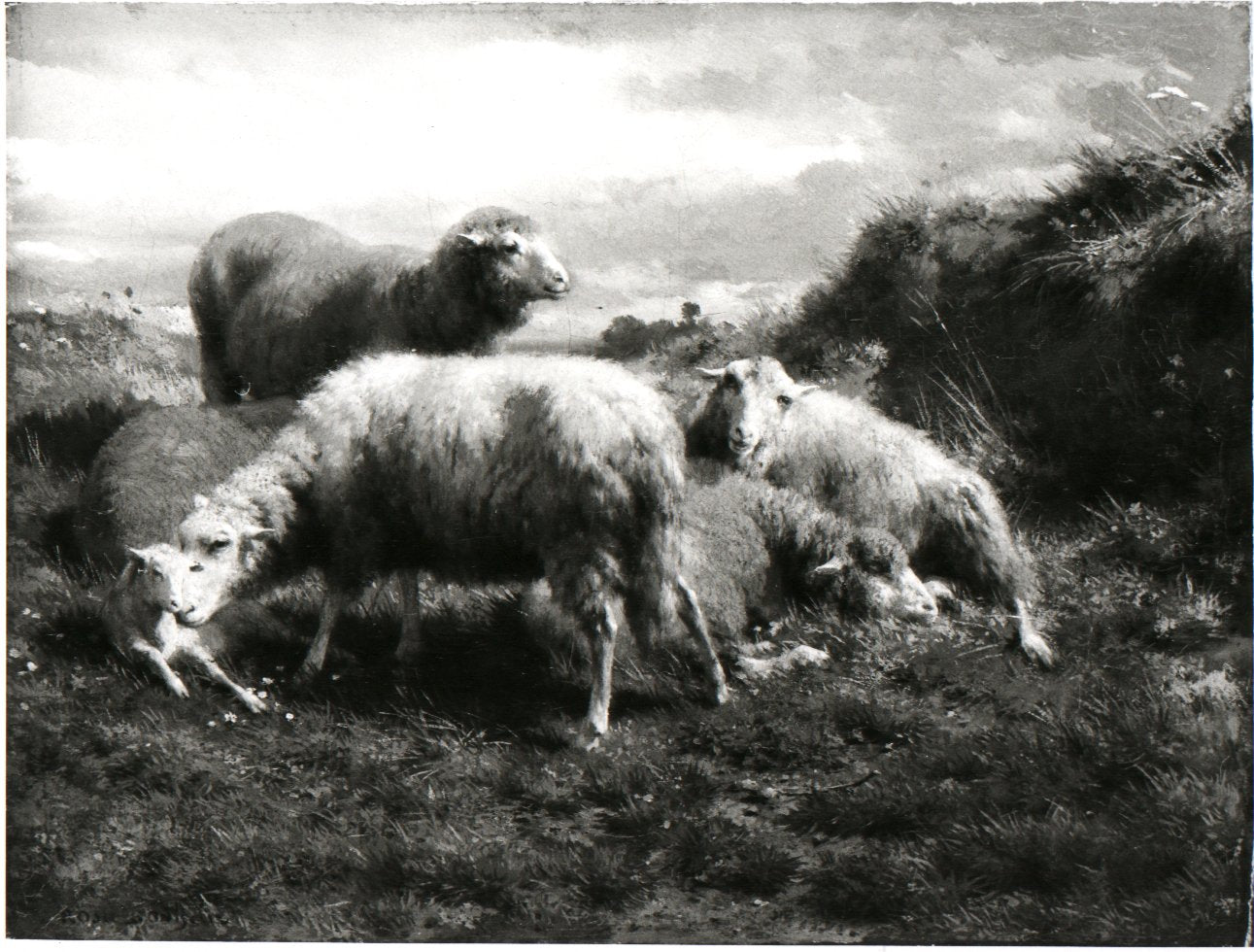 Paysage avec des moutons - Rosa Bonheur