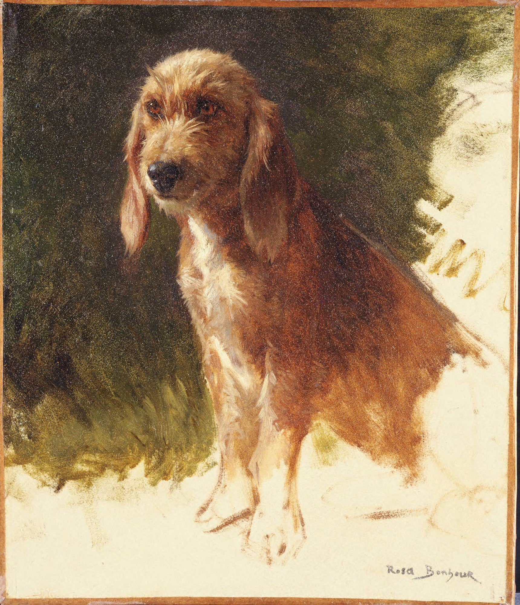 Étude d'un chien - Rosa Bonheur