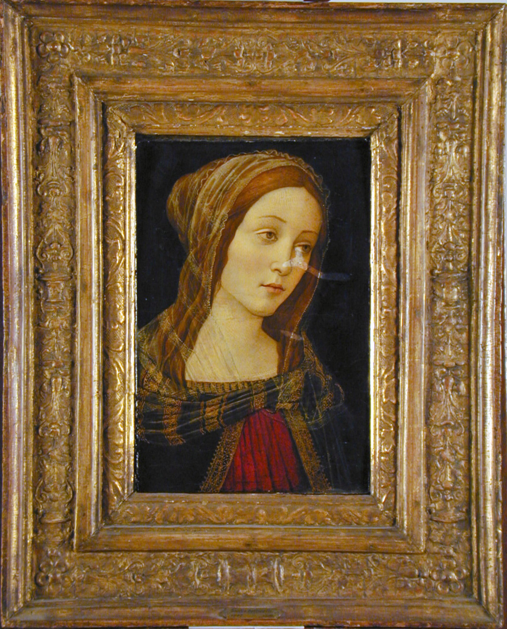 Tête d'un saint - Sandro Botticelli