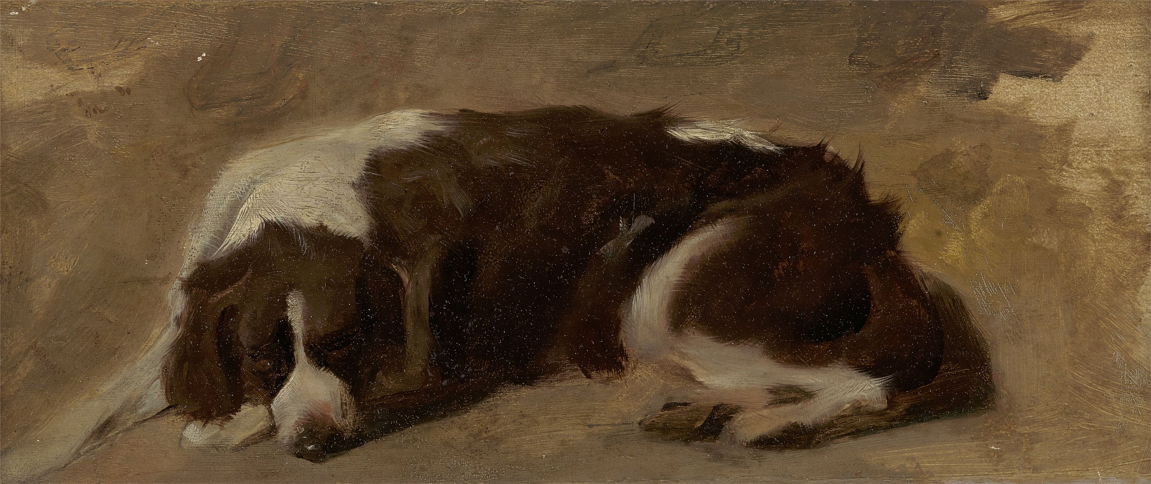 Un épagneul couché - Edwin Henry Landseer