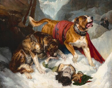 Les Dogues des Alpes réaniment un voyageur en détresse - Edwin Henry Landseer
