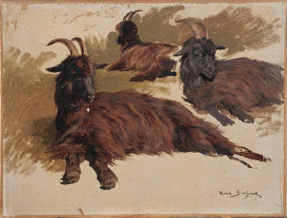 Trois chèvres au repos - Rosa Bonheur