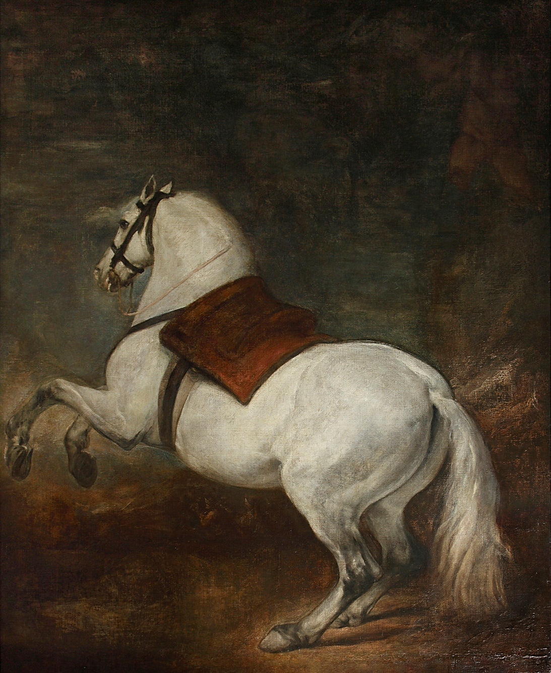 Cheval blanc - Diego Velázquez