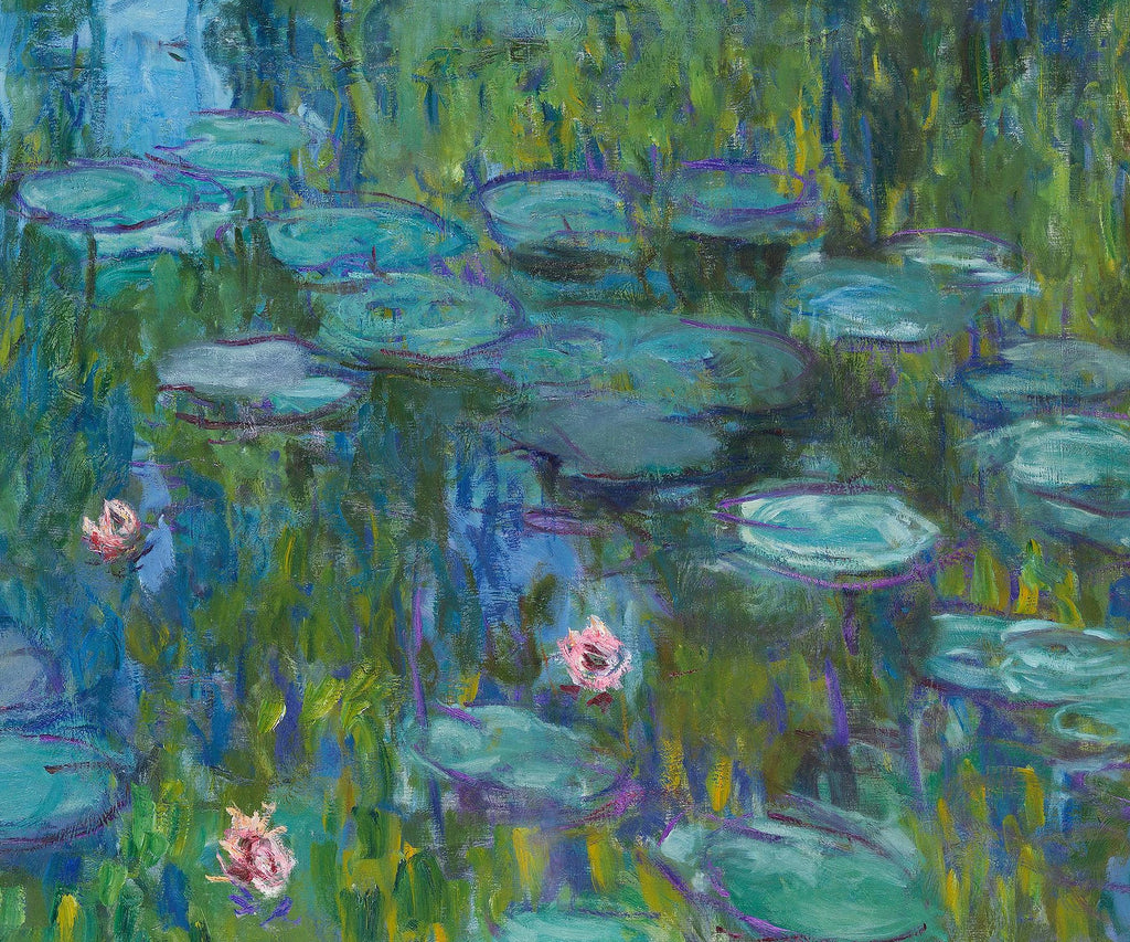 Détail des trois nymphéas roses et des feuilles flottantes