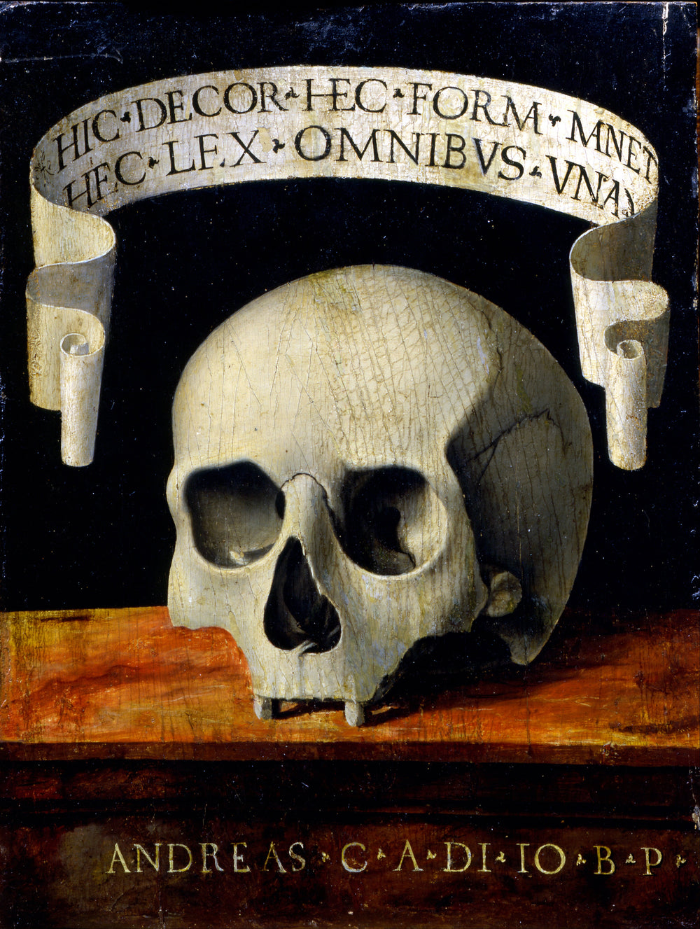 Portrait d'un homme - Memento Mori - Andrea Previtali