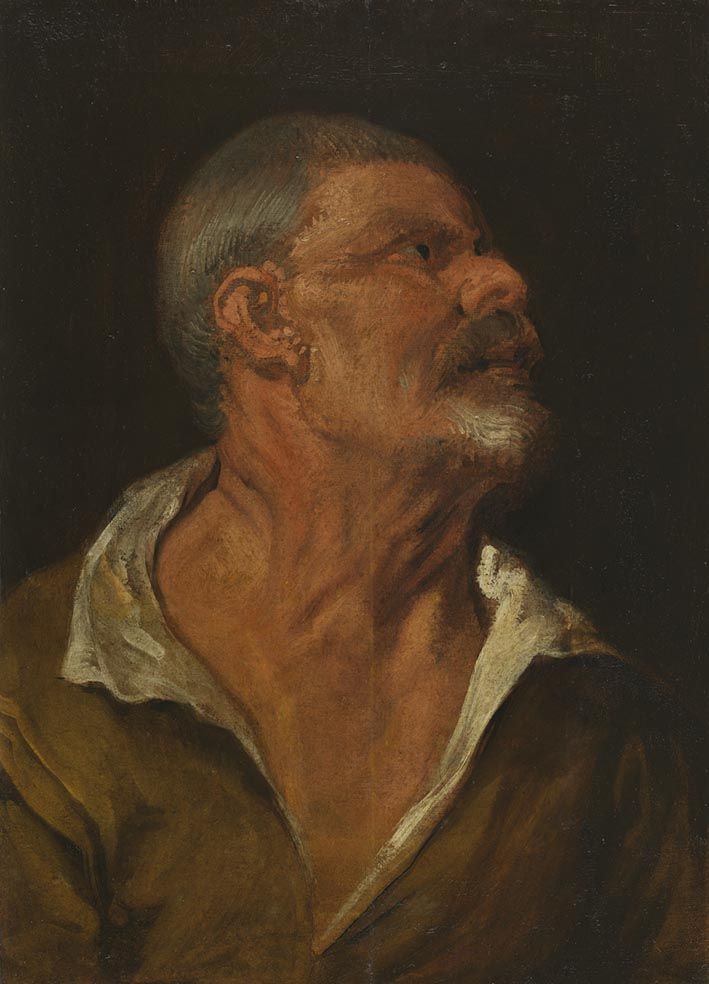 Étude d'une tête - Antoine van Dyck