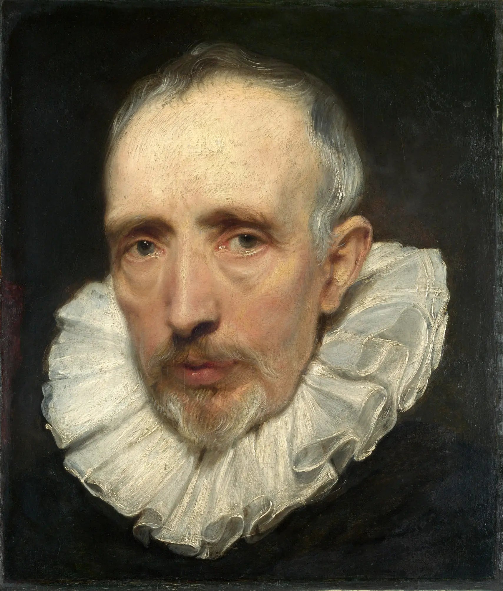 Portrait de Cornelis van der Geest - Antoine van Dyck - Alpha Reproduction