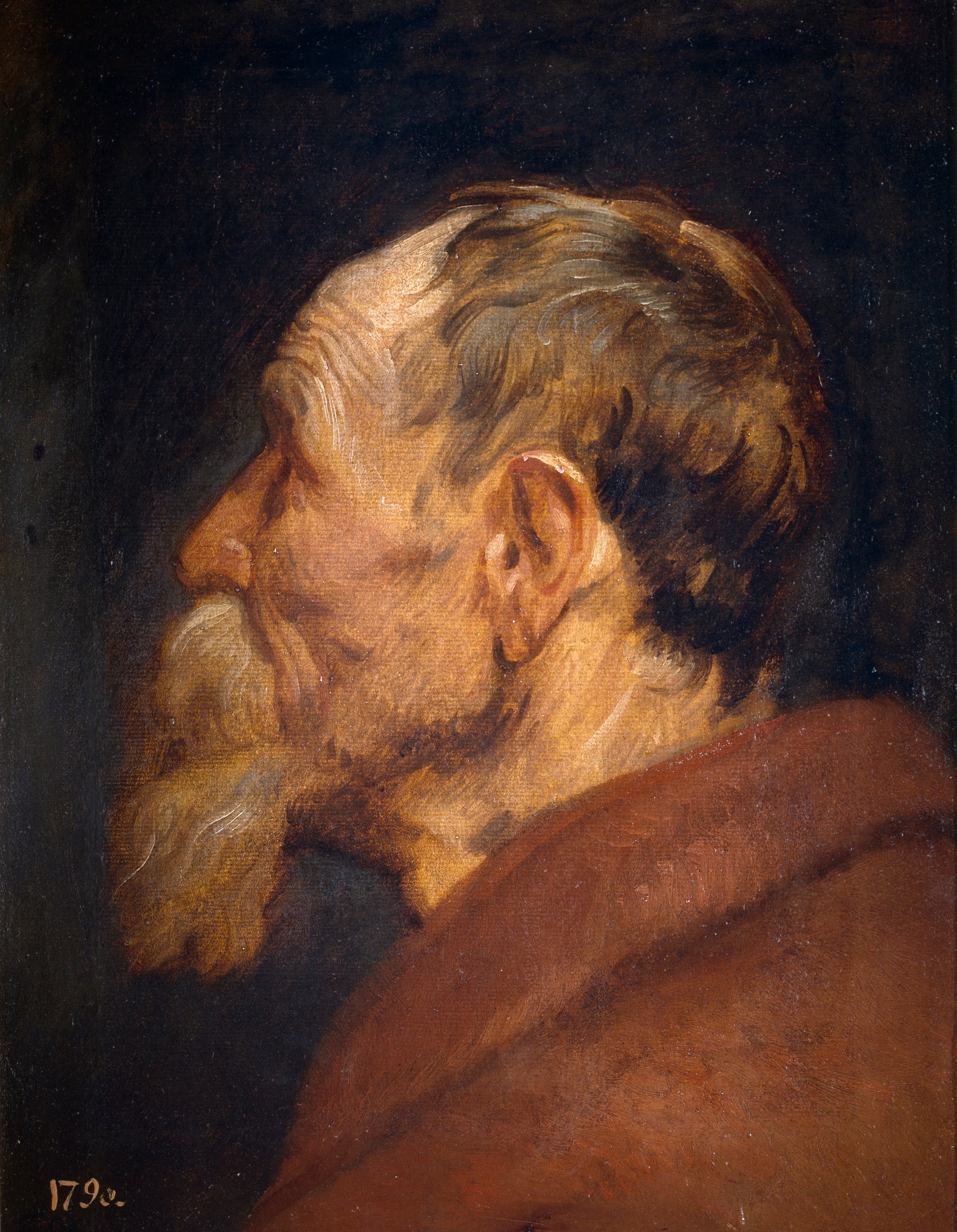 Tête de vieil homme - Antoine van Dyck