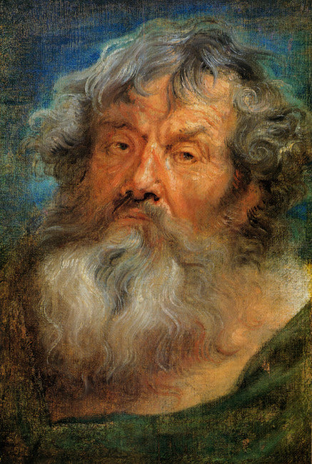 Tête de vieillard - Antoine van Dyck