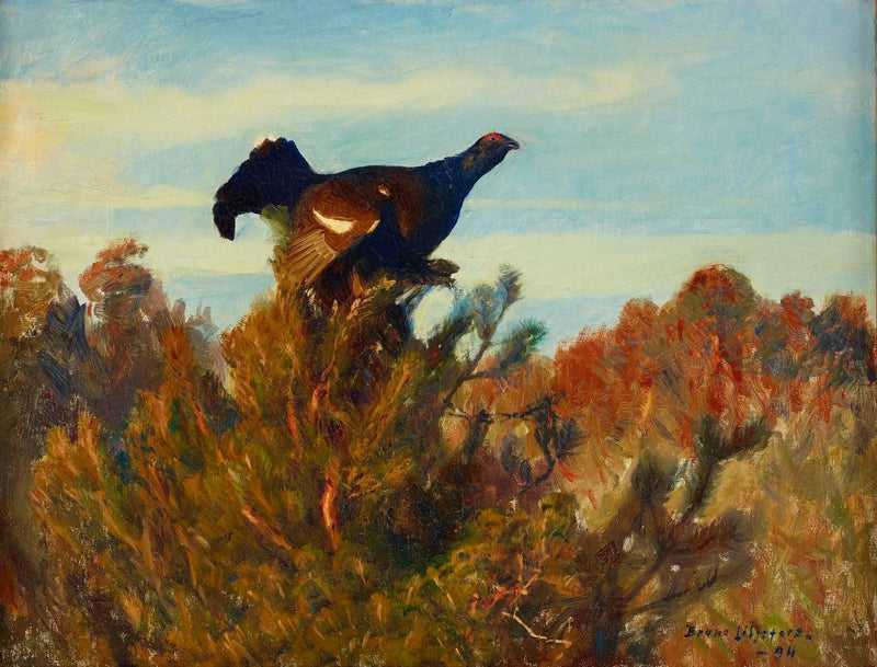 Black Grouse - ברונו ליליפורס
