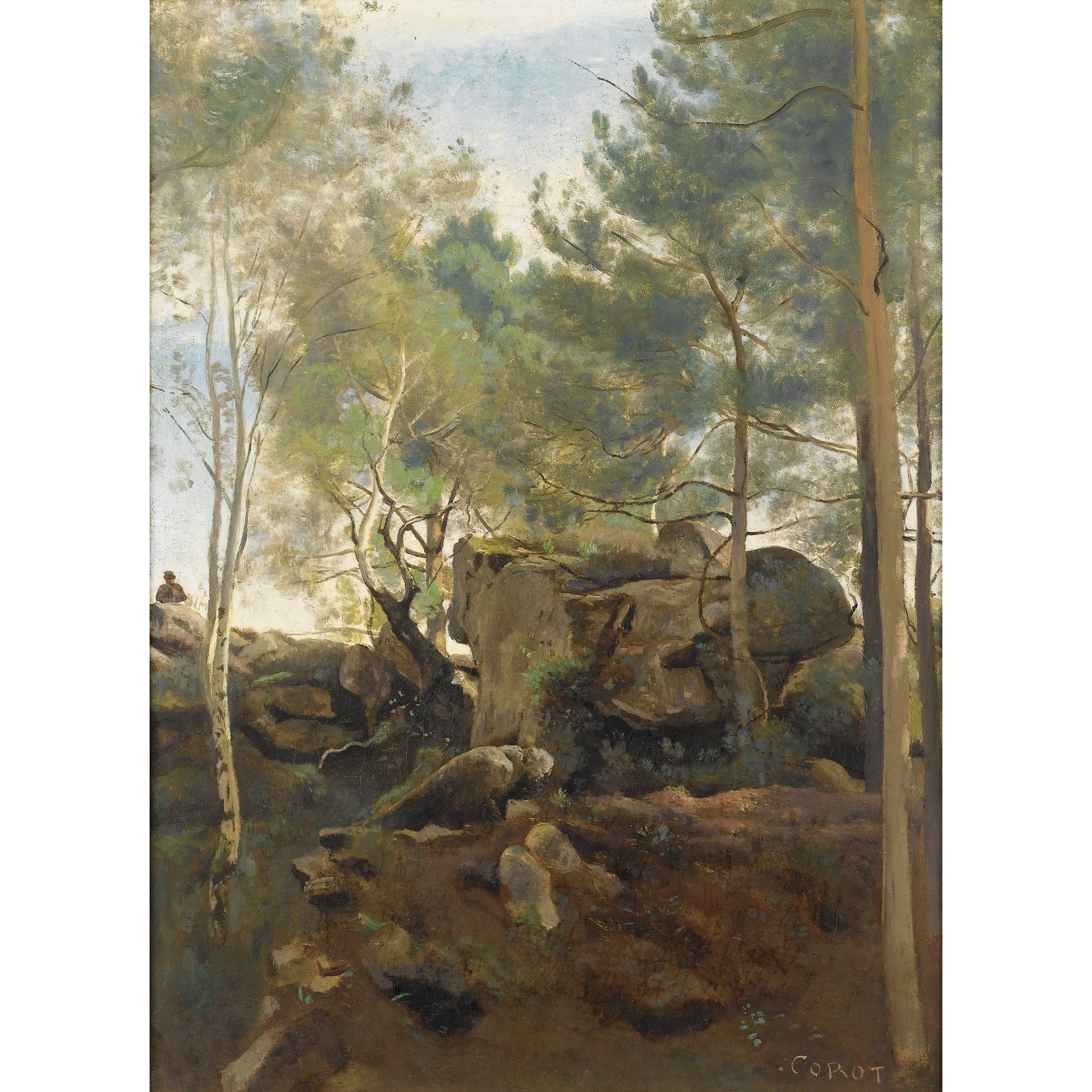 Dans la forêt de Fontainebleau. Pins et bouleaux dans les rochers - Jean-Baptiste Camille Corot