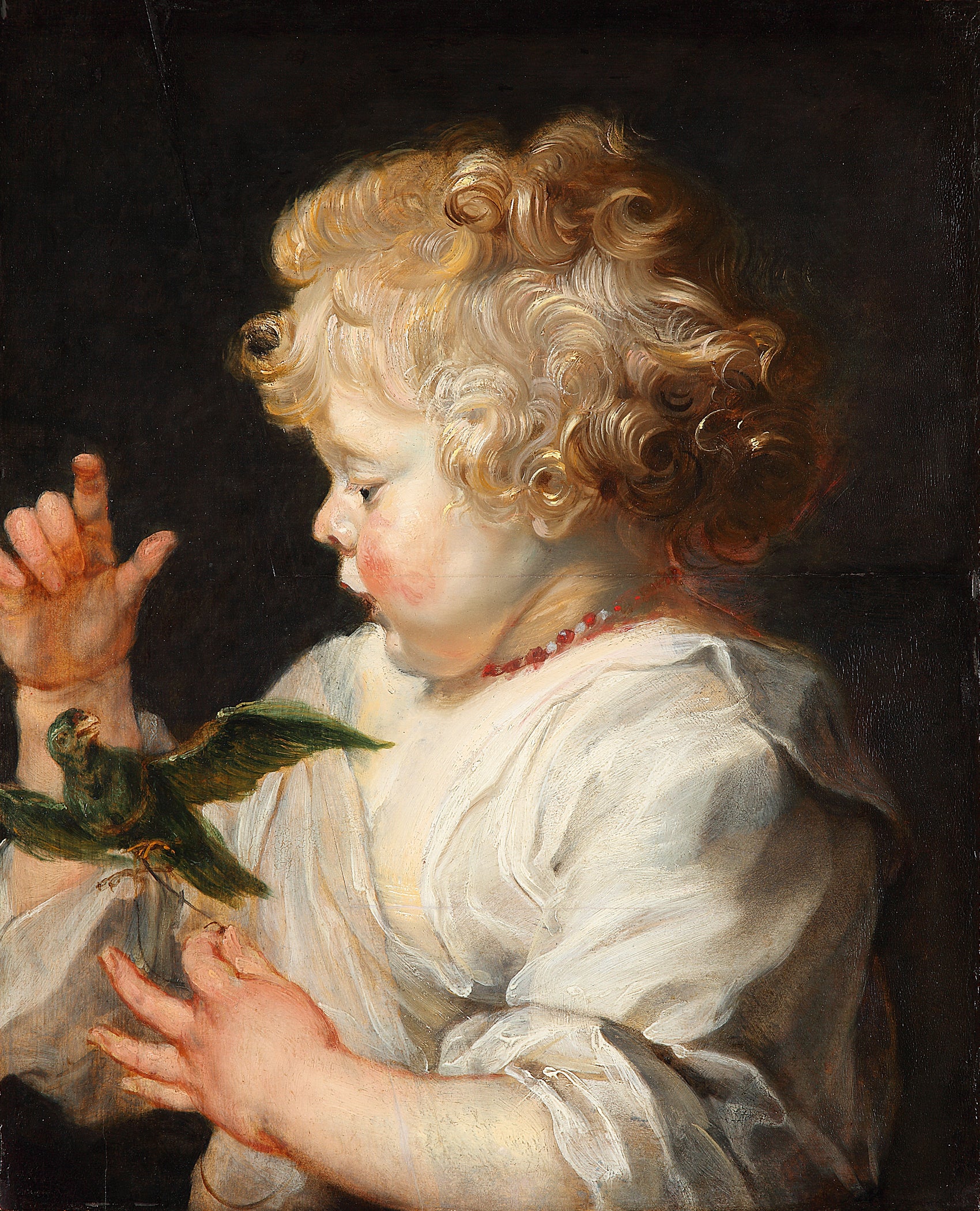 Un enfant avec un oiseau - Peter Paul Rubens