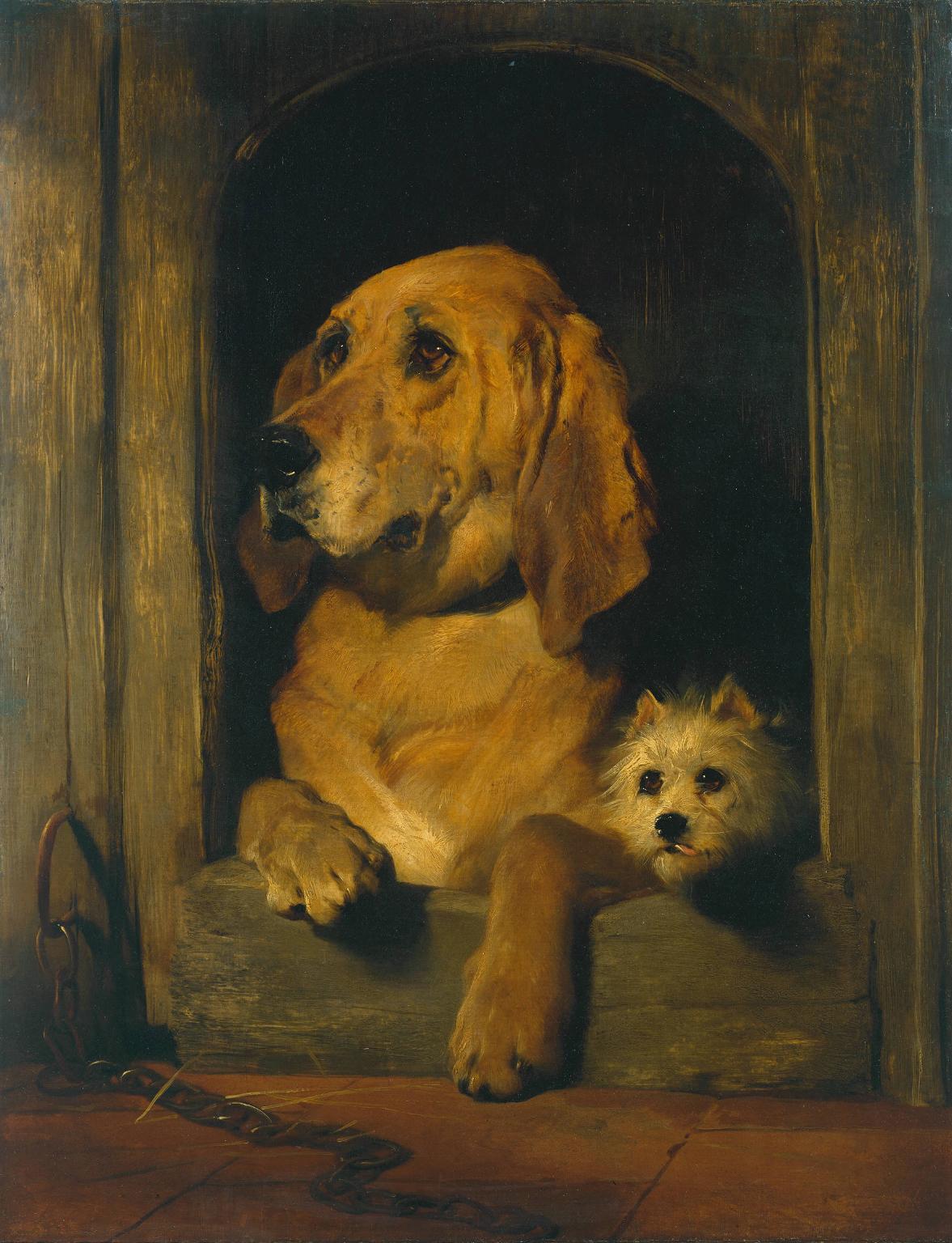 Dignité et impudence - Edwin Henry Landseer