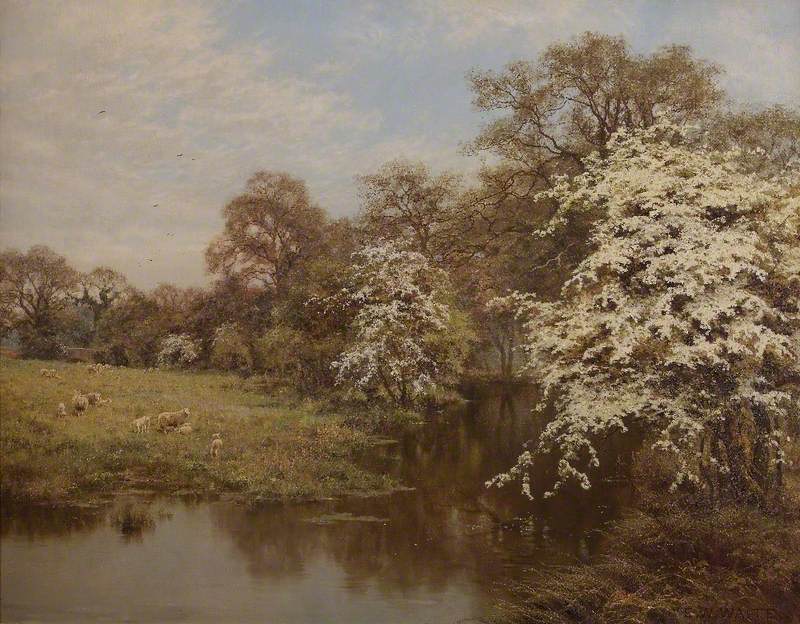 Fleurs d'aubépine - Edward Wilkins Waite