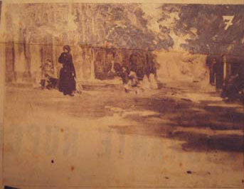 גני לוקסמבורג - Eliseu Visconti