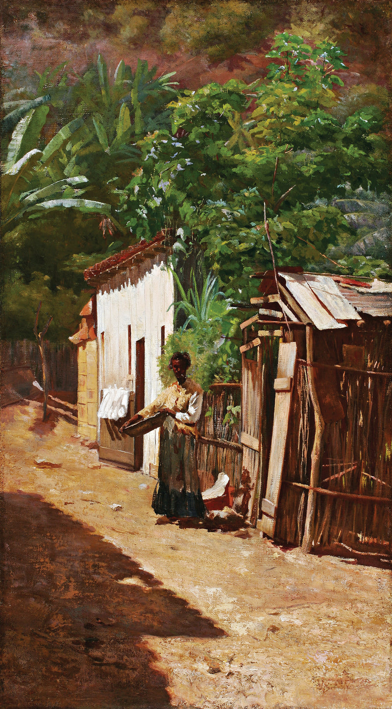 רחוב אומה של הפאבלה - Eliseu Visconti