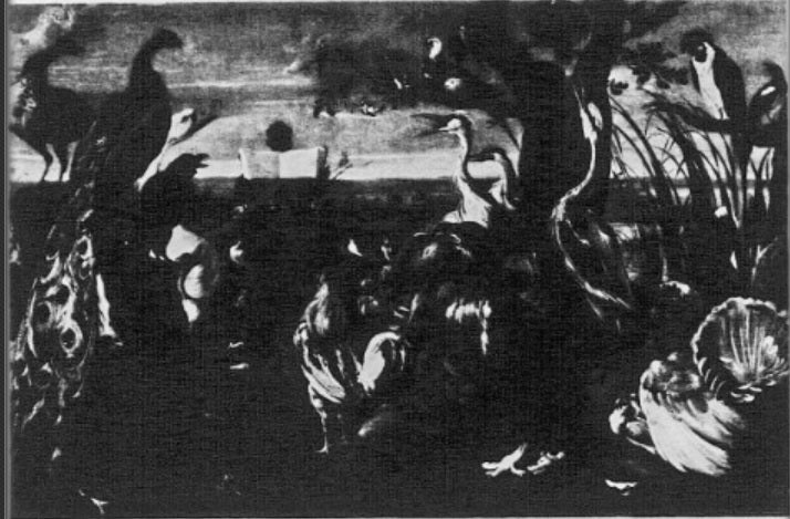 Concert d'oiseaux, tiré d'une fable de Phèdre - Frans Snyders