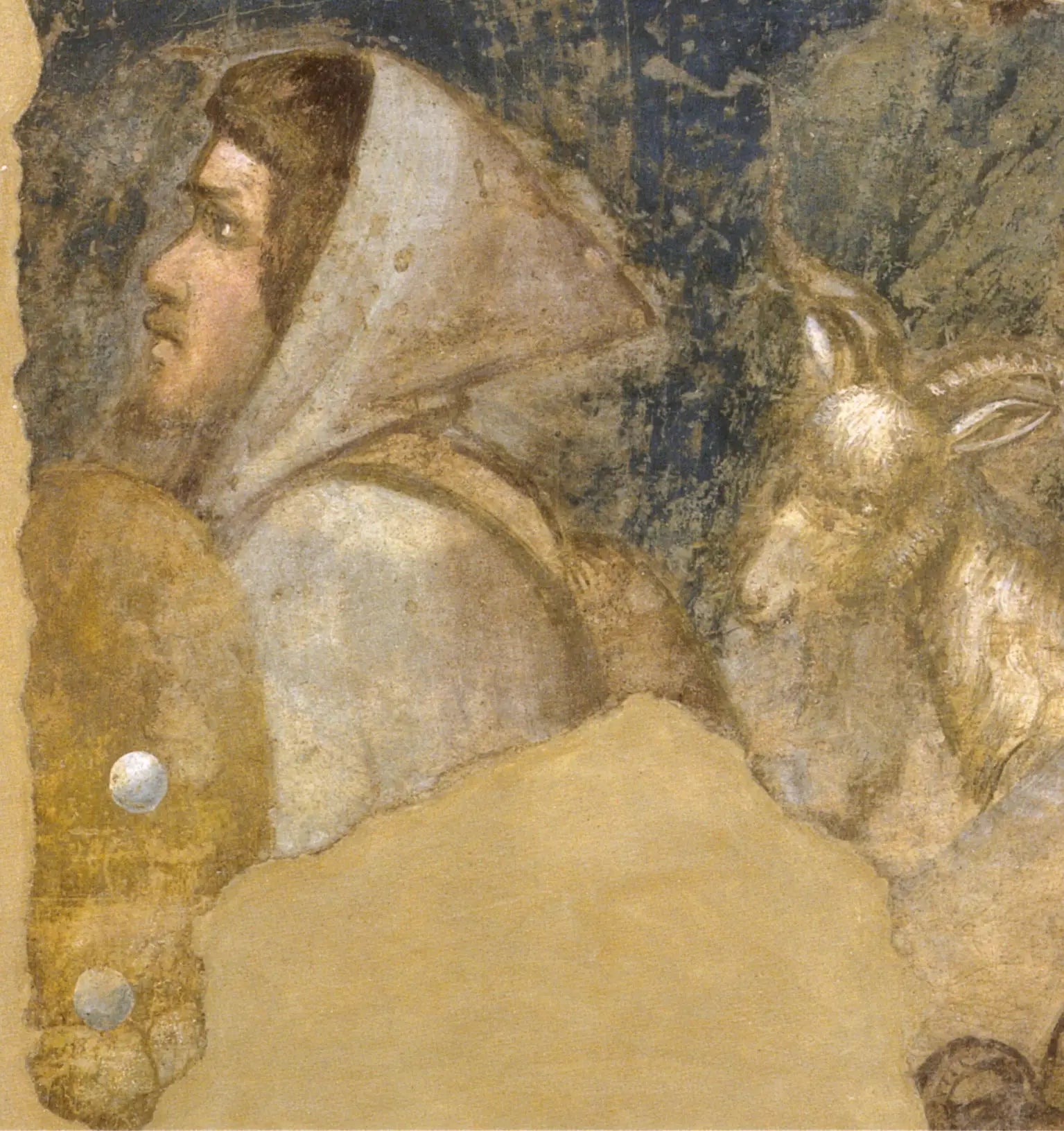 Tête de berger - Giotto - Alpha Reproduction