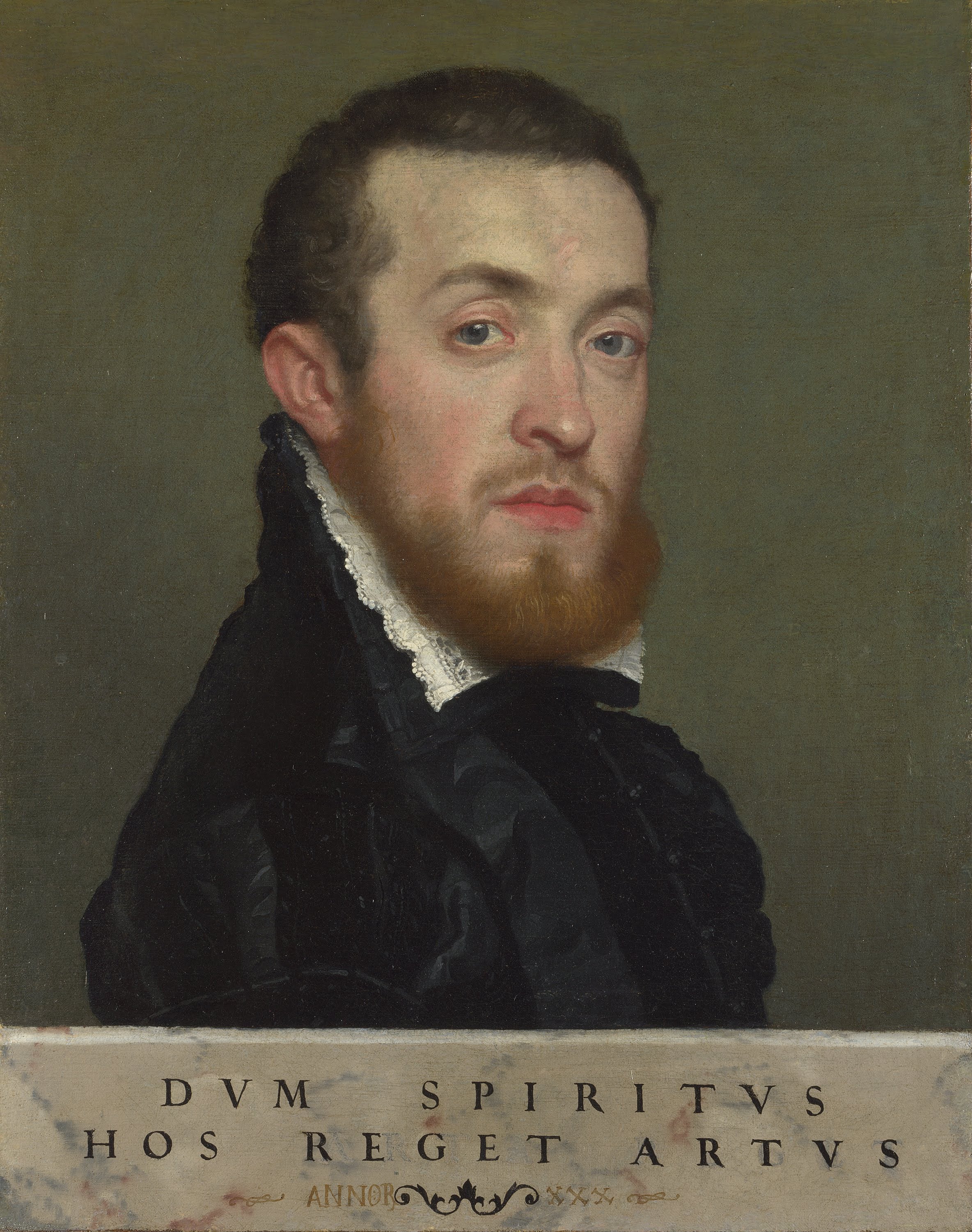 Buste d'un jeune homme avec une inscription - Giovanni Battista Moroni