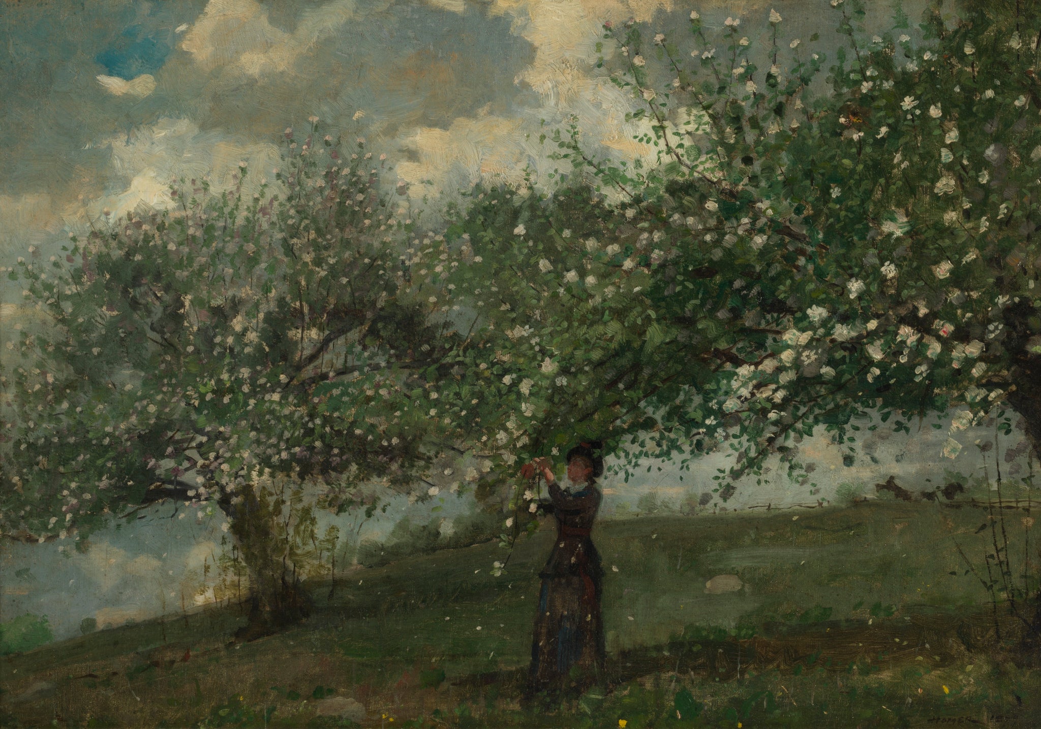Jeune fille cueillant des fleurs de pommier, peinture de Winslow Homer