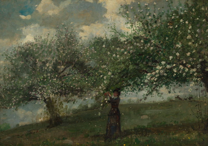 Jeune fille cueillant des fleurs de pommier – Winslow Homer