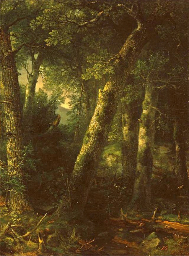 Forêt dans la lumière du matin - Asher Brown Durand