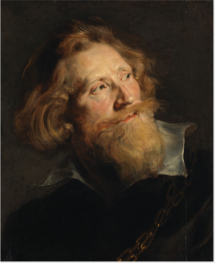 Tête d'homme barbu - Peter Paul Rubens