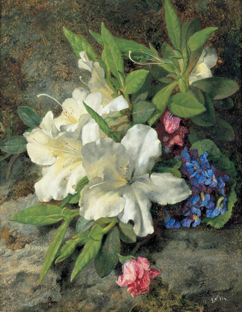 Azalées blanches - Henri Fantin-Latour
