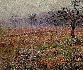 Q30067942 - הנרי מורט