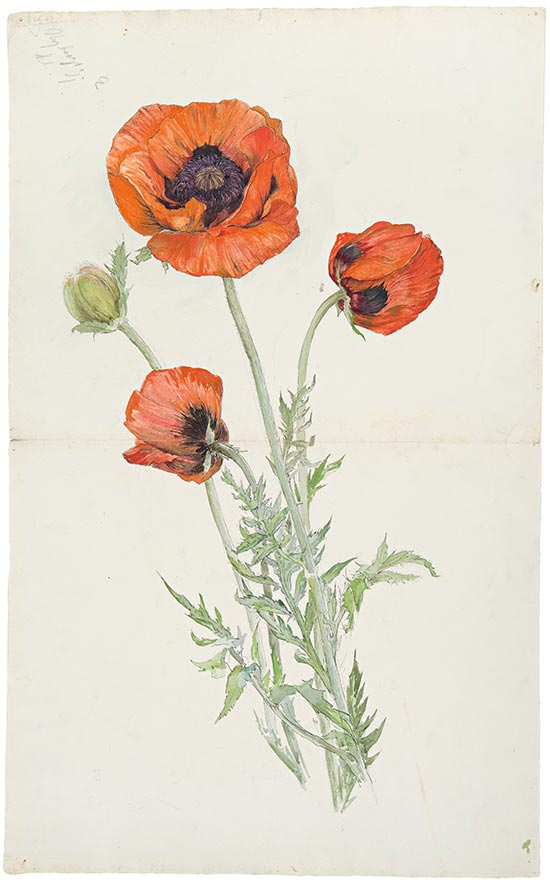 1890s - Untitled - Hilma af Klint