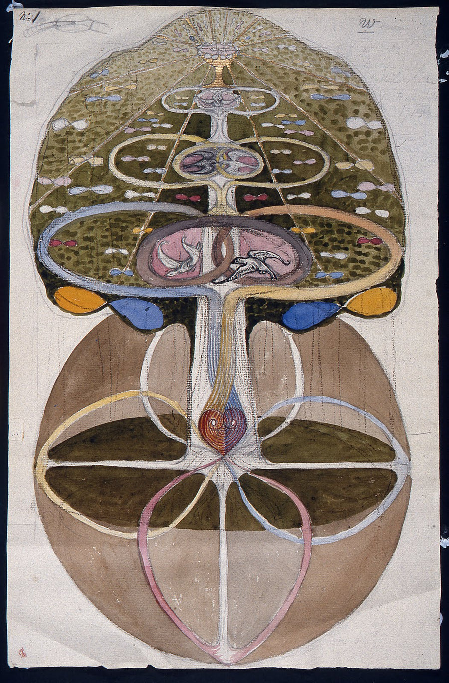 no date - Untitled 05 - Hilma af Klint