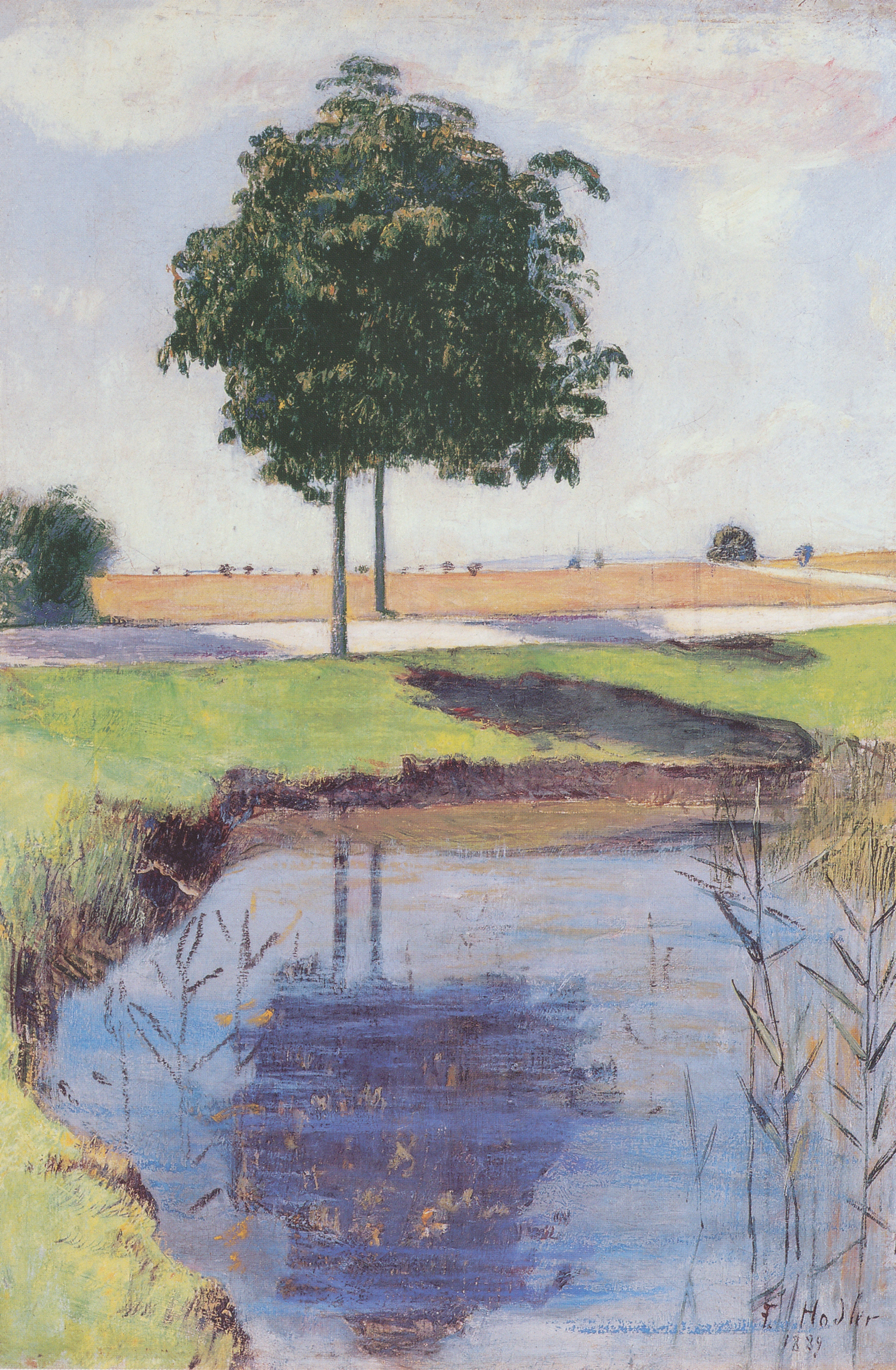 Les Châtaigniers - Ferdinand Hodler