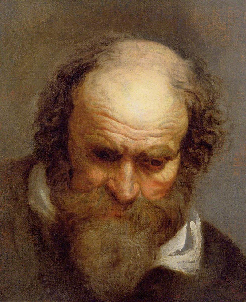 Tête d'un vieil homme - Jacob Jordaens