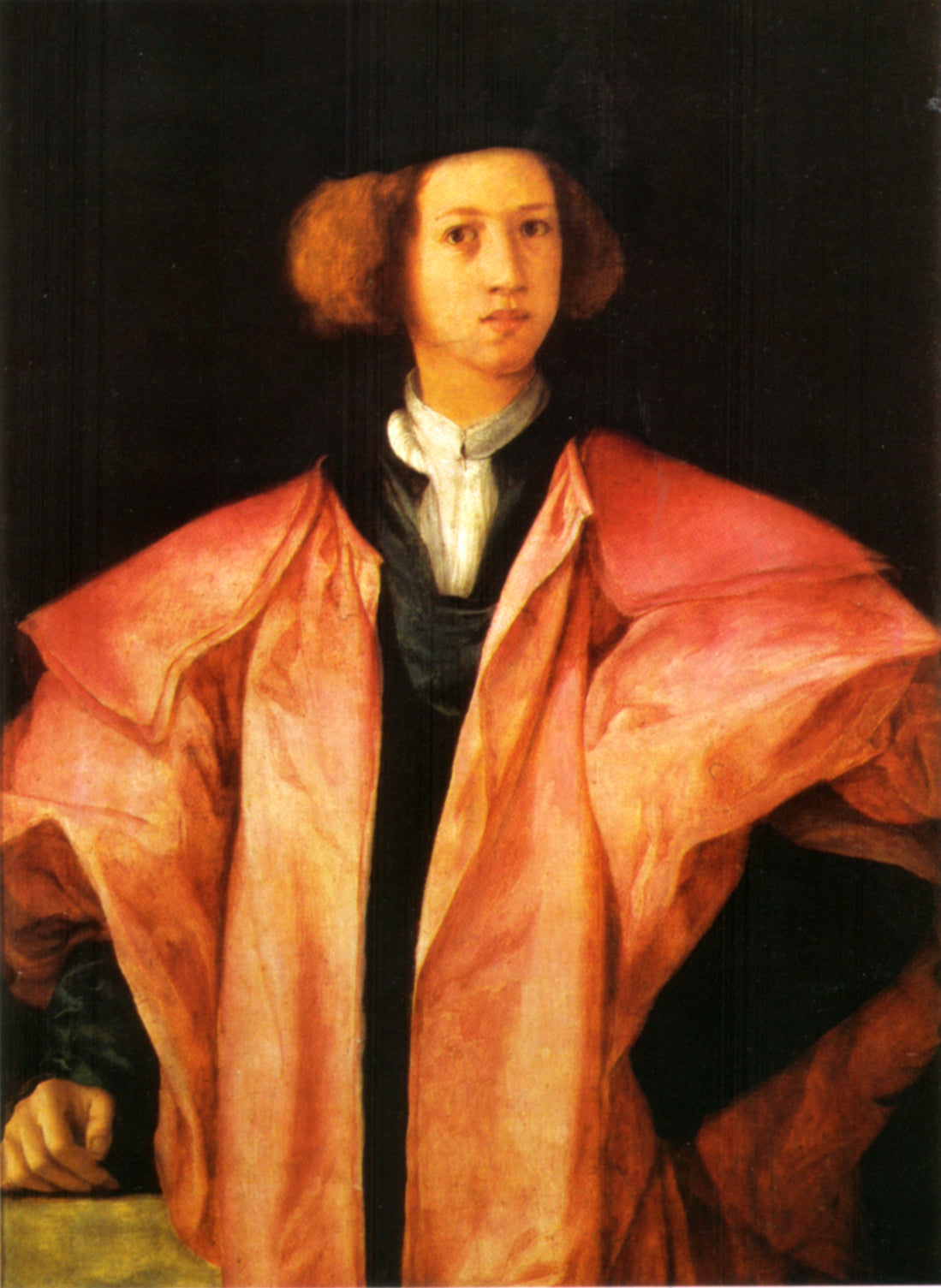 Portrait d'un jeune homme - Pontormo