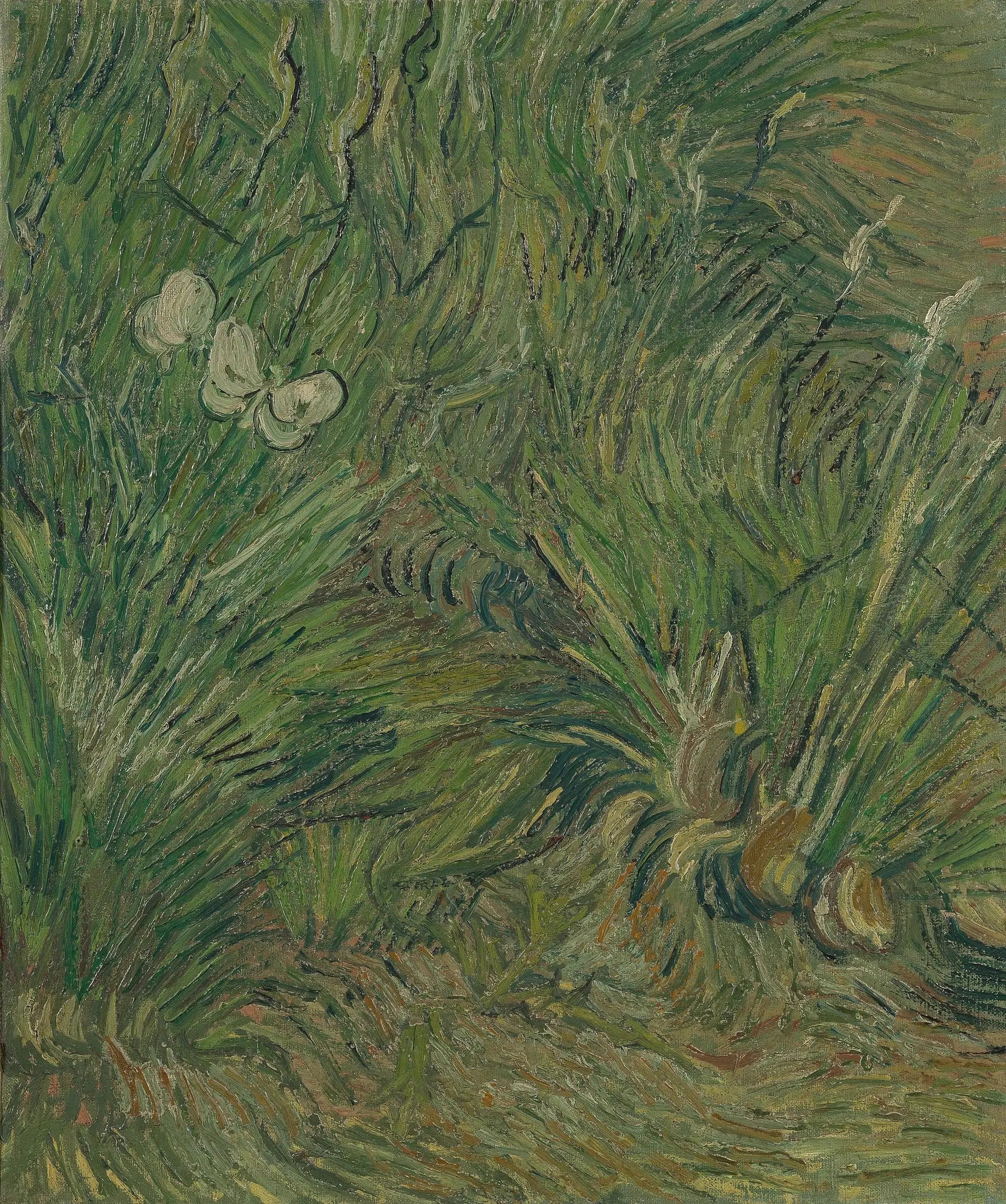 Jardin aux papillons - Vincent van Gogh - Alpha Reproduction