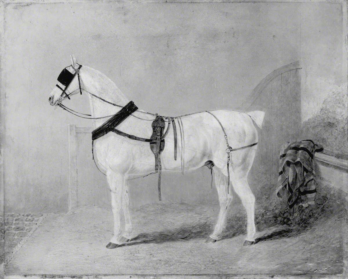 Cheval de calèche dans une écurie - John Frederick Herring, Sr.