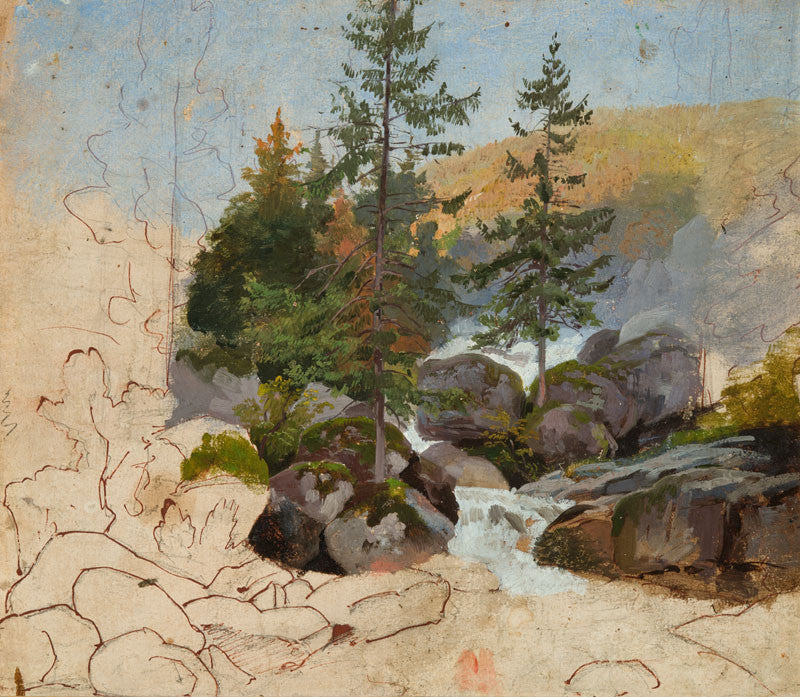 Rapides d’un ruisseau forestier - Josef Mánes